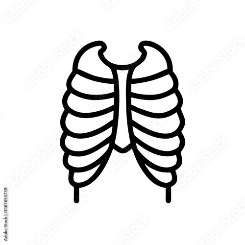 ribs