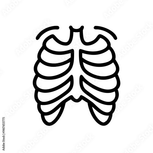 ribs