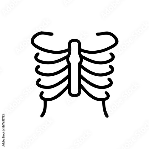 ribs
