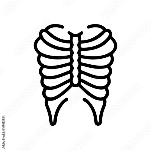 ribs