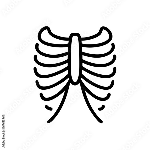 ribs
