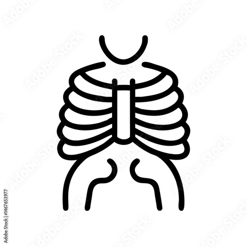 ribs