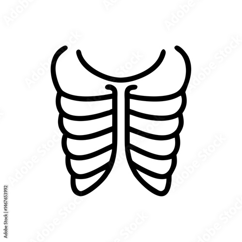 ribs