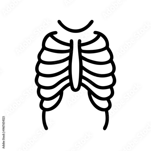 ribs