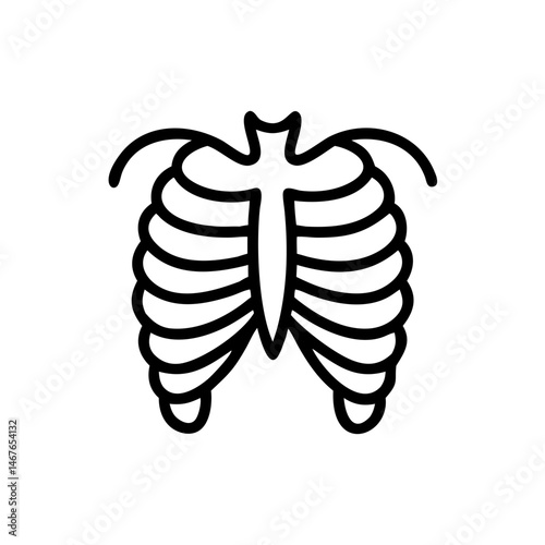 ribs
