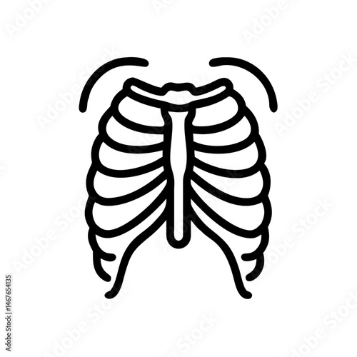 ribs