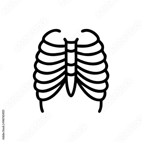 ribs