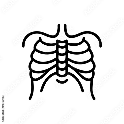 ribs