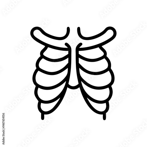 ribs