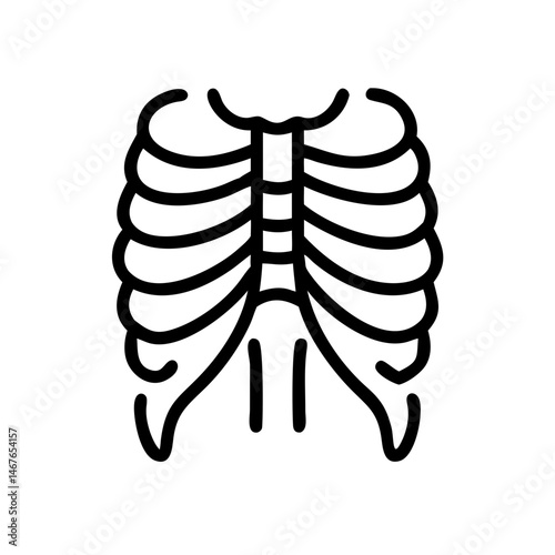 ribs