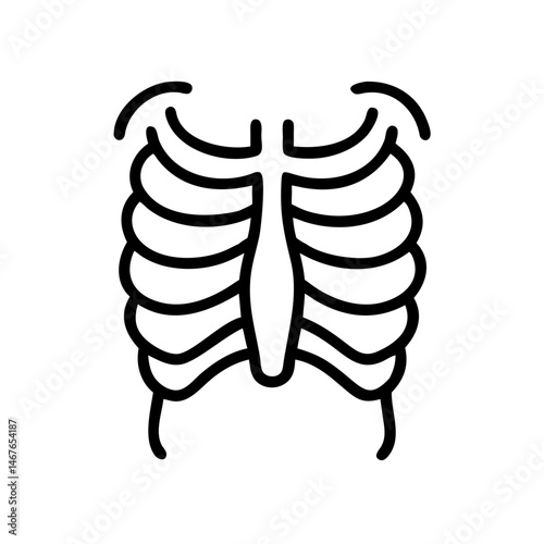 ribs