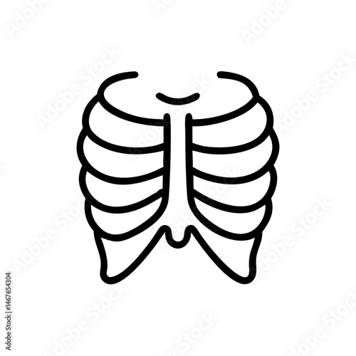 ribs