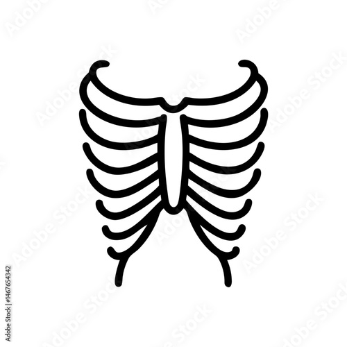 ribs