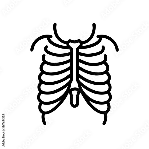 ribs