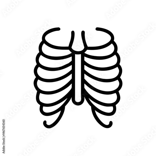 ribs