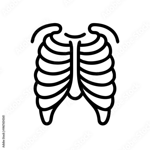ribs