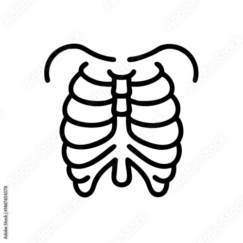ribs