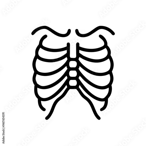 ribs