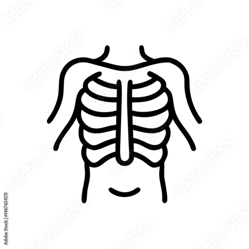 ribs