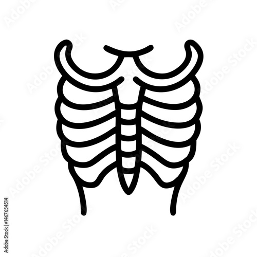 ribs