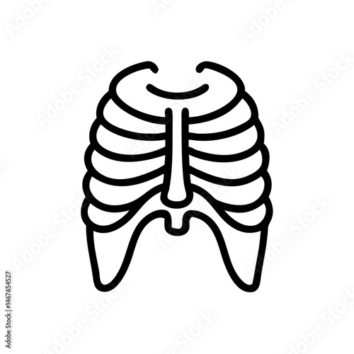 ribs