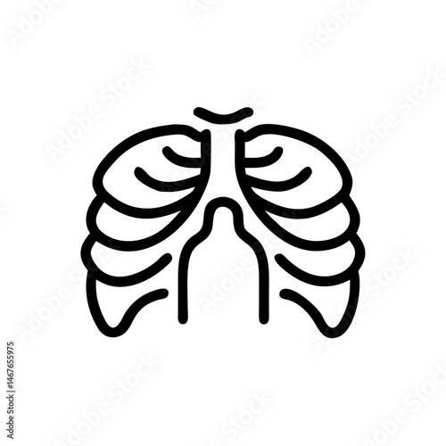x ray on transparent background for web and graphic design