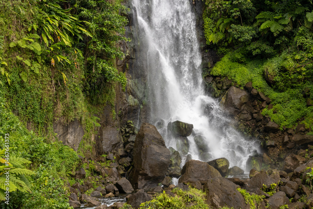Fototapeta premium waterfall in the forest