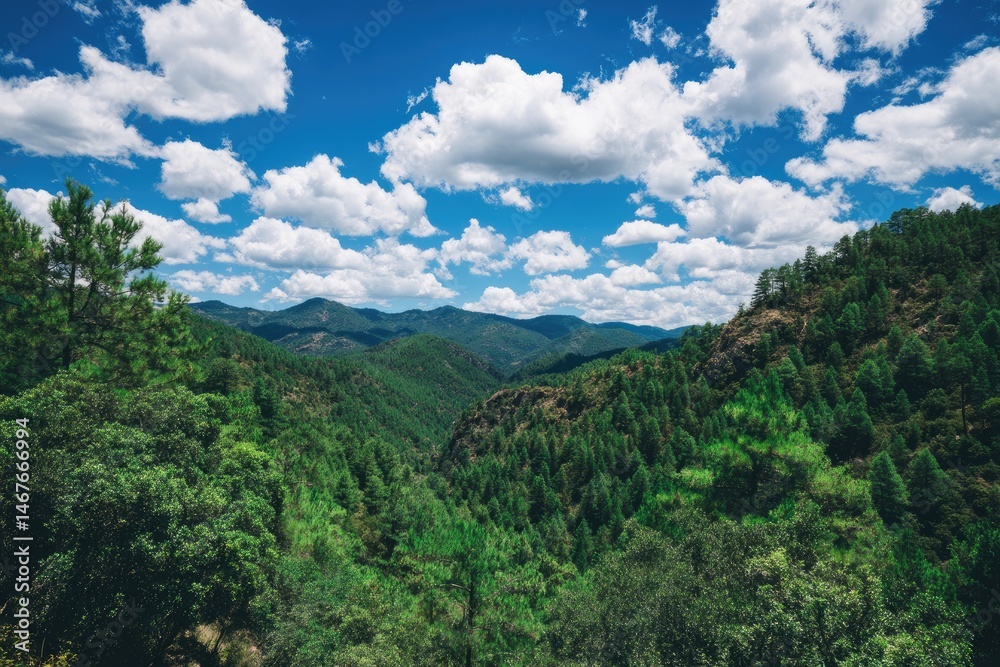 Lush valley under a vibrant sky Lush valley under a vibrant sky