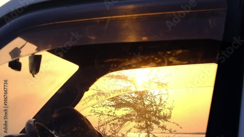 Tree swaying against sunset through car windows in nature on lake