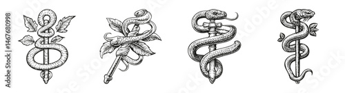 Detailed Illustration of Aesculapius Symbols and Serpent Icons, vector illustration, engraving design, logo design set, black and white line, template design element