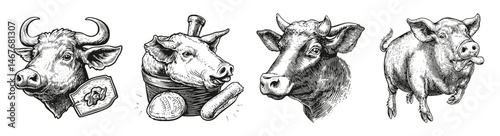 Vintage Farm Animal Illustrations of Cow and Pig for Marketing Use, vector illustration, engraving design, logo design set, black and white line, template design element