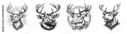 Detailed Illustrations of Elk and Mule Deer Heads in Various Styles, vector illustration, engraving design, logo design set, black and white line, template design element