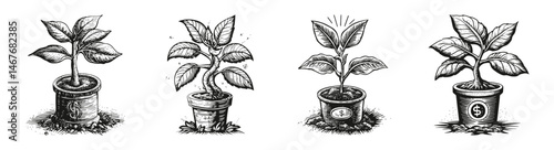 Growth Stages of a Plant in Potted Containers for Investment Theme, vector illustration, engraving design, logo design set, black and white line, template design element