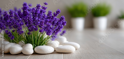 Beautiful Arrangement of Lavender Flowers With White Stones in a Modern Inter...