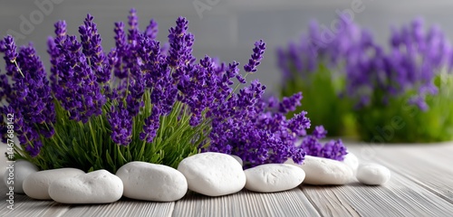Beautiful Arrangement of Lavender Flowers With White Stones in a Modern Inter...