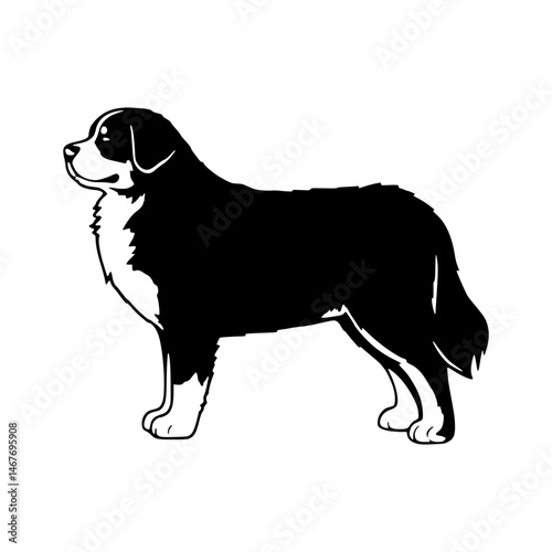 Black & White Bernese Mountain Dog Silhouette