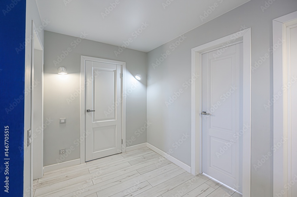 Fototapeta premium standard room interior apartment. room doors, renovation corridor lobby entrance hall