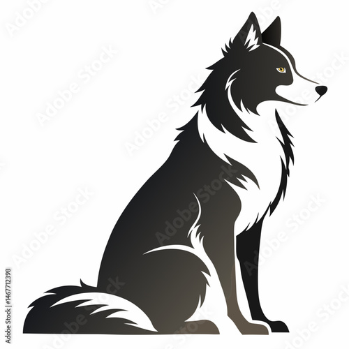 black and white dog