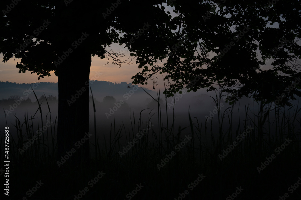 Ground fog at sunrise with Weitenburg Castle in the background in the landscape of the Neckar valley near Rottenburg am Neckar in Baden-Württemberg, Germany, Europe.