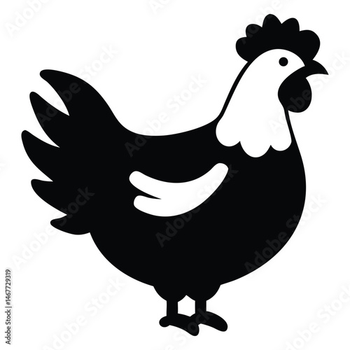 Black and white chicken illustration shows poultry farm animal in silhouette design