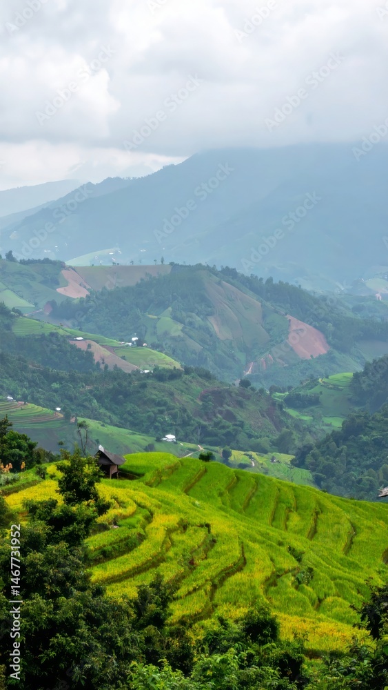 Naklejka premium Lush green rice terraces cascade down hillsides in rural Southeast Asia offering stunning views