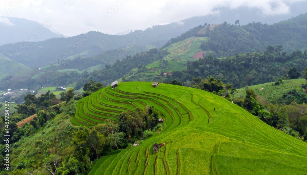 Fototapeta premium Lush green rice terraces cascade down misty mountains in Southeast Asia, offering breathtaking natural beauty and sustainable agriculture practices