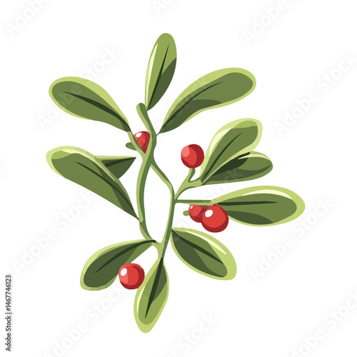Flat vector Christmas Mistletoe, minimalist design, isolated on a white background.