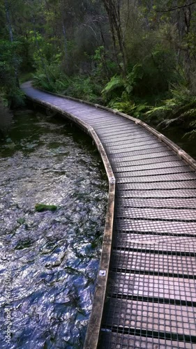 Long Boardwalk in the Woods at Te Waikoropupū Springs – Scenic Nature Walk