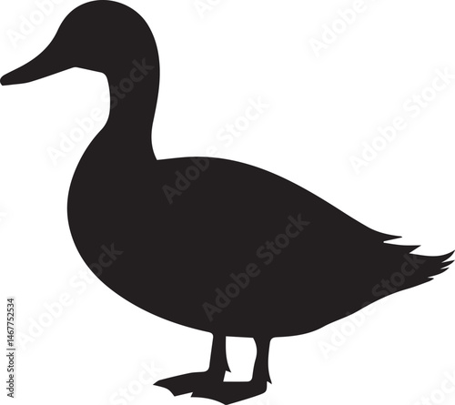 black and white silhouette of a duck  ,Silhouette of a duck in profile, black and white vector. Ideal for farm animal art, 