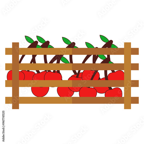 Fruits In Wooden Box