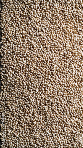 Obraz na płótnie Close-up of raw white quinoa seeds showing detailed texture and natural pattern. Symbolizes health, nutrition, and organic simplicity in a wholesome superfood background for culinary or wellness theme w salonie