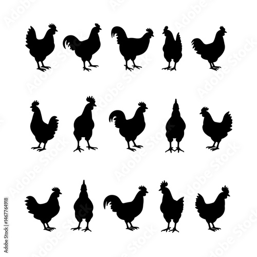 Set chicken silhouette isolated vector on white background 