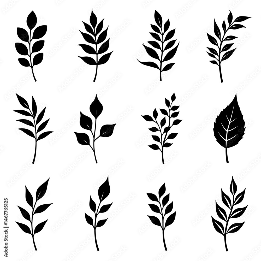 Hand-drawn black ink illustrations of branches, including isolated floral decorative elements and a collection of herb silhouettes
