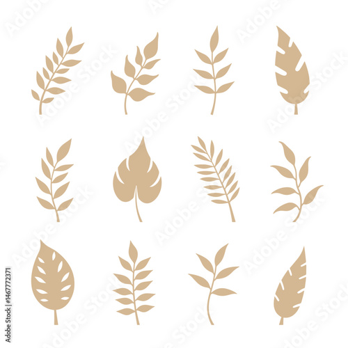 Set leaf silhouette isolated vector on white background 